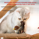 brinquedo Interativo Passáro Para Gatos.