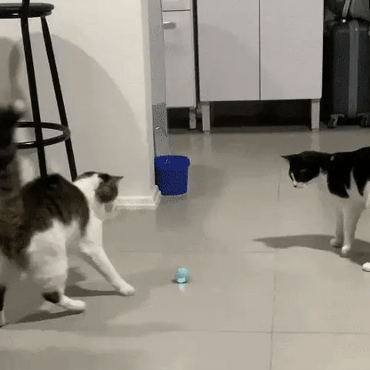 Bola de gato inteligente