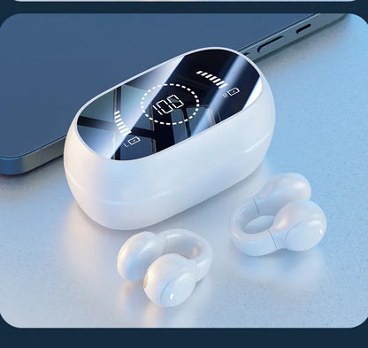 47379648577829|47379648610597