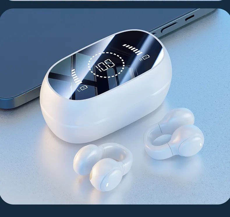 47379648577829|47379648610597