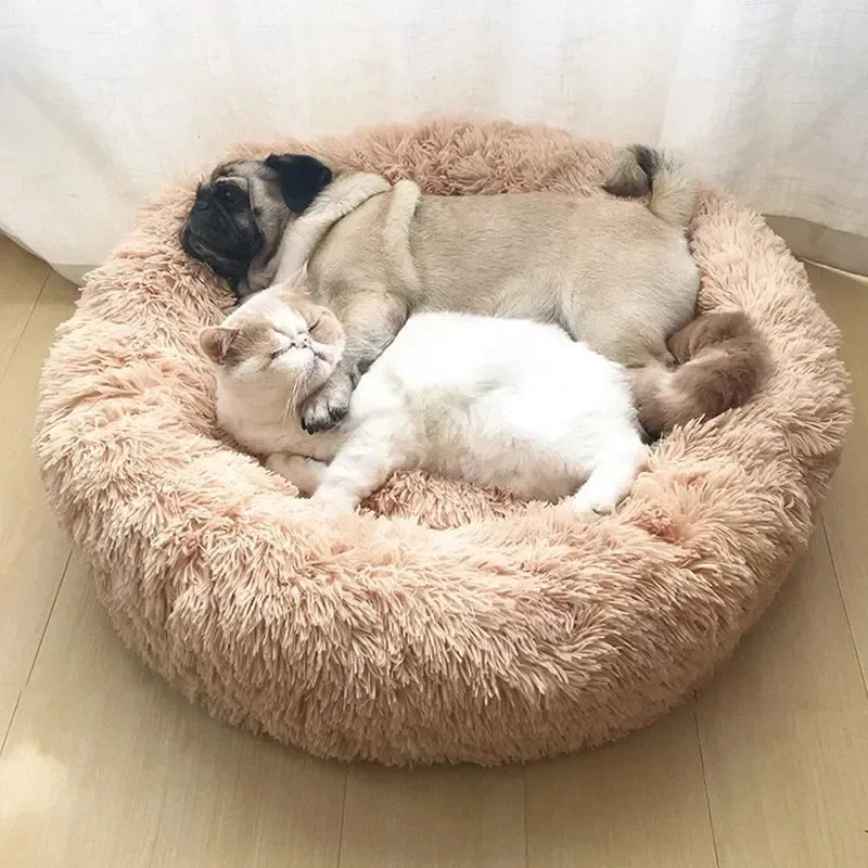 Caminha Nuvem Super Macia para Seu Pet