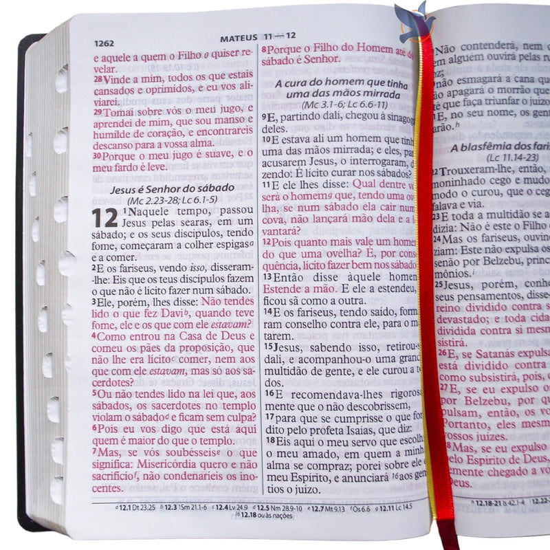 Bíblia Sagrada Lt Extragigante ARC Índice Lateral Preto.