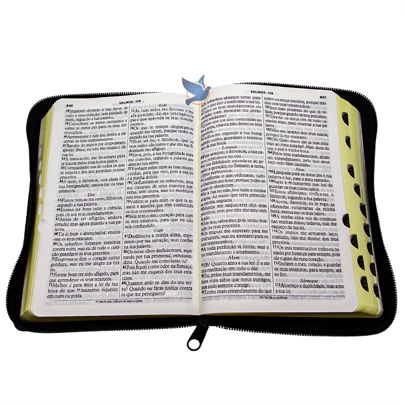 Bíblia Sagrada LG Grande Almeida ARC Zíper Preto.