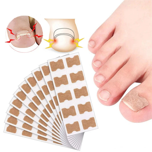 49768921956645|49768921989413|49768922022181|49768922054949|49768922087717