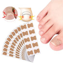 49768921956645|49768921989413|49768922022181|49768922054949|49768922087717